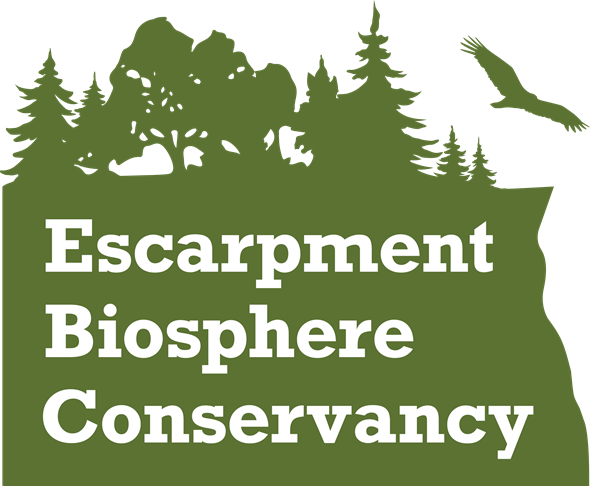 ESCARPMENT BIOSPHERE CONSERVANCY