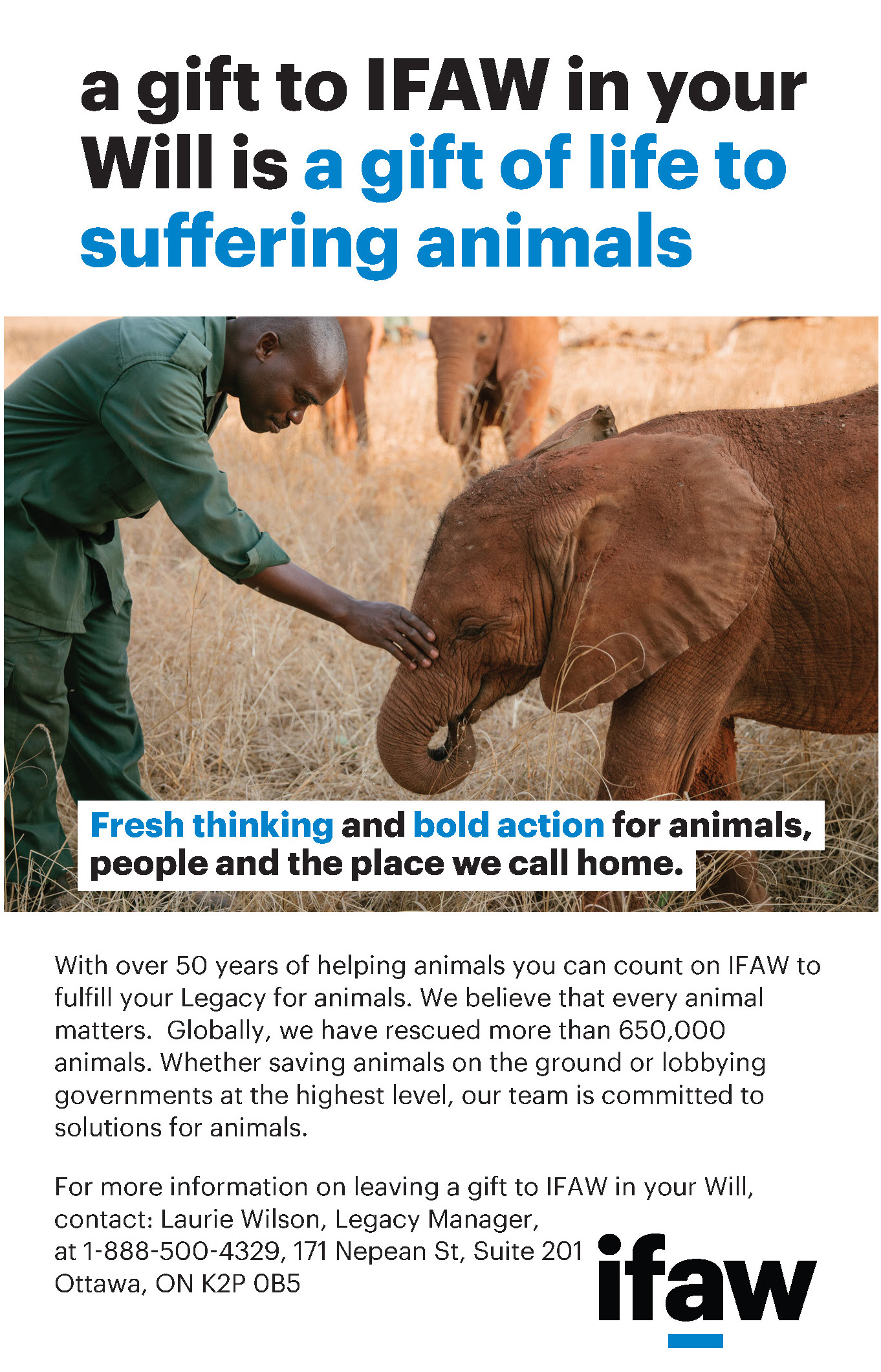 IFAW - INTERNATIONAL FUND FOR ANIMAL WELFARE
